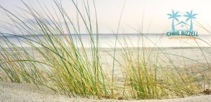 Protecting Our Shoreline